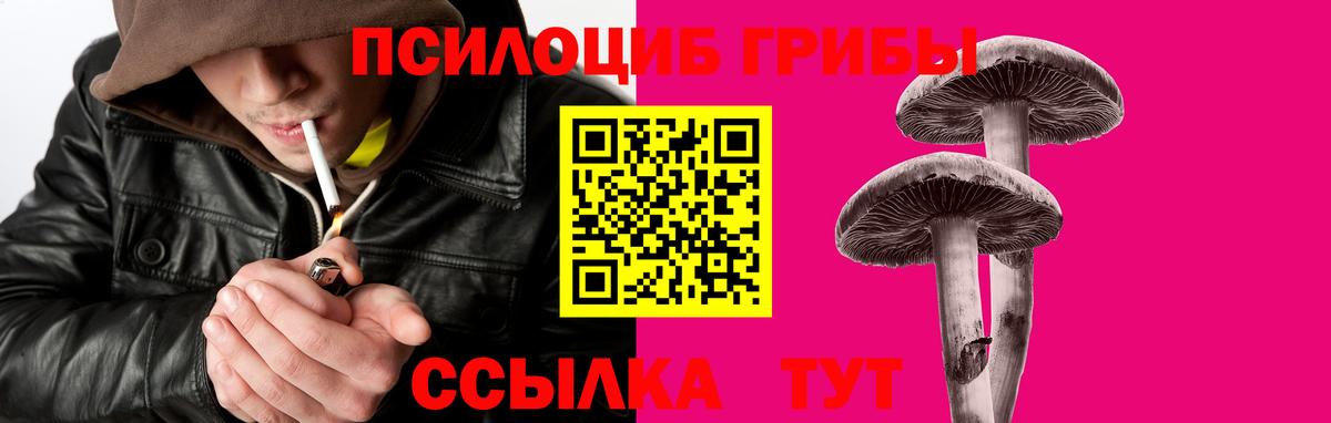 Псилоцибиновые грибы ЛСД Спасск-Дальний